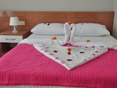 Zimmerbild 1