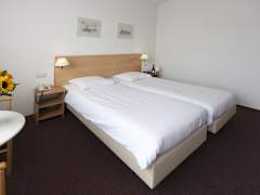 Zimmerbild 3