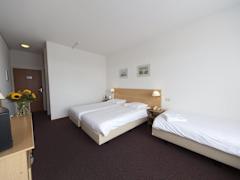 Zimmerbild 2