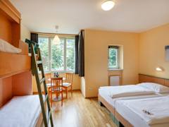Zimmerbild 4