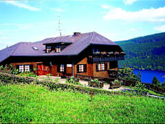 Zimmerbild 3