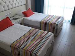 Zimmerbild 1