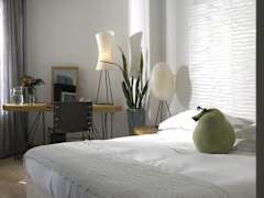 Zimmerbild 1