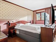 Zimmerbild 5