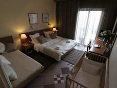 Zimmerbild 8