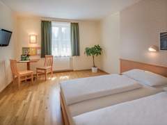 Zimmerbild 7