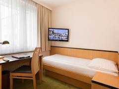 Zimmerbild 6