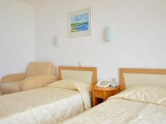 Zimmerbild 5