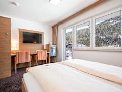 Zimmerbild 3