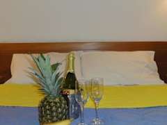 Zimmerbild 3