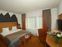 Zimmerbild 4