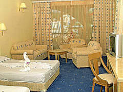 Zimmerbild 8