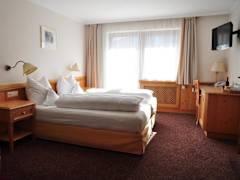 Zimmerbild 1