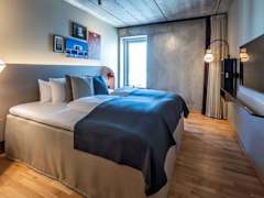 Zimmerbild 1