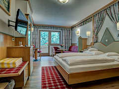 Zimmerbild 8
