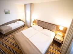 Zimmerbild 6