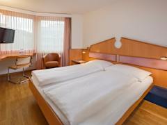 Zimmerbild 5