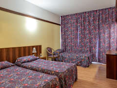 Zimmerbild 3