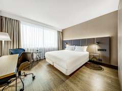 Zimmerbild 1