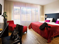 Zimmerbild 6