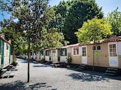 Zimmerbild 2