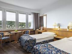 Zimmerbild 10