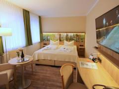 Zimmerbild 7