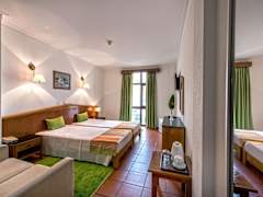 Zimmerbild 4