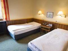 Zimmerbild 9