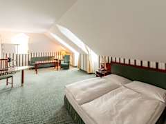 Zimmerbild 8