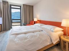 Zimmerbild 6