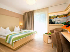 Zimmerbild 5