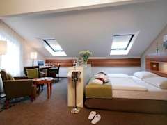 Zimmerbild 5