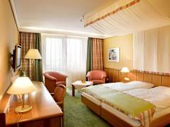 Zimmerbild 5
