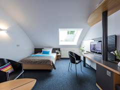 Zimmerbild 1