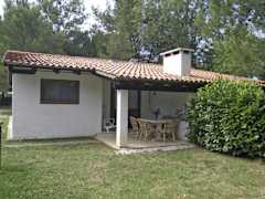 Zimmerbild 11