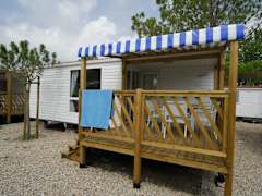 Zimmerbild 12
