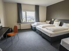 Zimmerbild 3