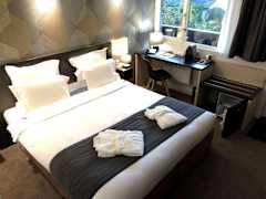 Zimmerbild 1