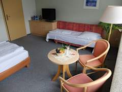 Zimmerbild 9