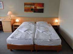 Zimmerbild 13