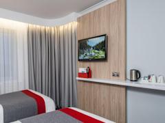 Zimmerbild 6