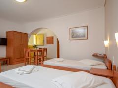 Zimmerbild 7