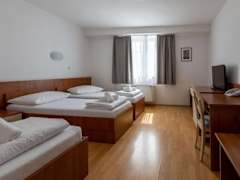 Zimmerbild 6