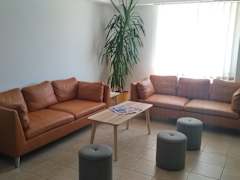 Zimmerbild 5