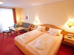 Zimmerbild 8