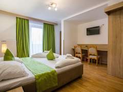 Zimmerbild 5
