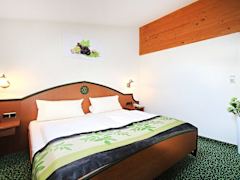 Zimmerbild 7