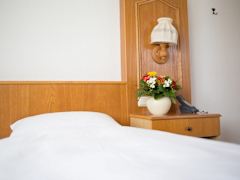 Zimmerbild 7