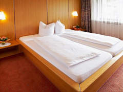Zimmerbild 7